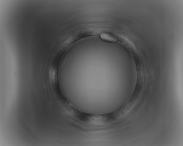 X0000110970123200906261417