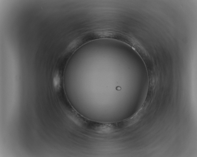 X0000110970124200906261417