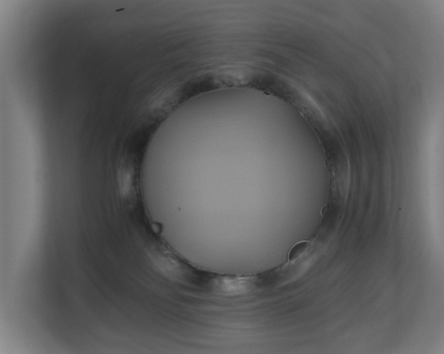 X0000110970134200906261417