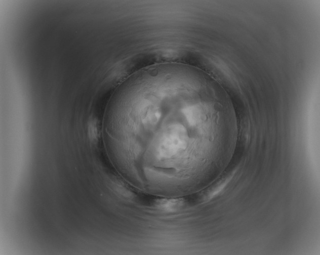 X0000110970135200906261417