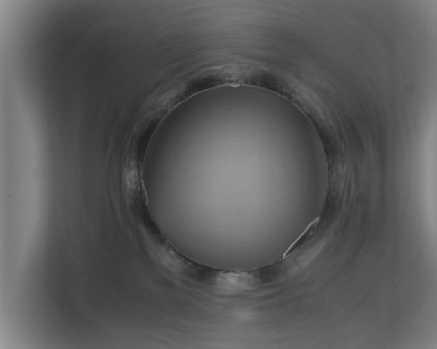 X0000110970137200906261416