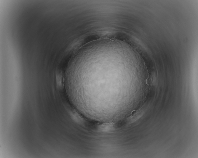 X0000110970138200906261416