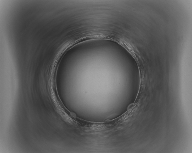 X0000110970145200906261416