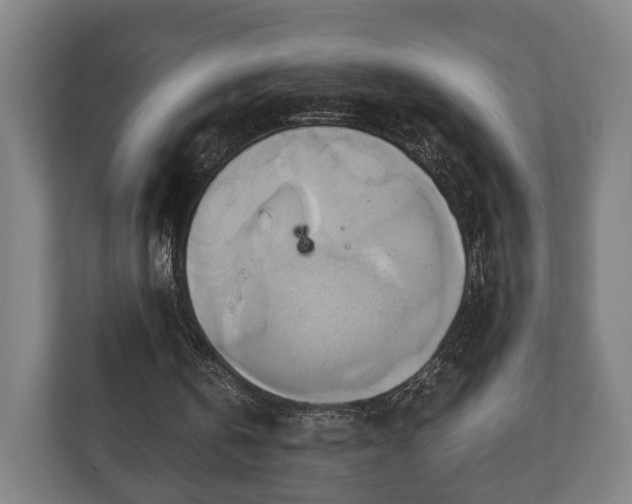 X0000110970146200906261416