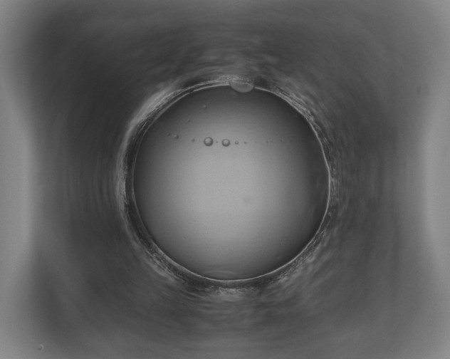 X0000110970149200906261416