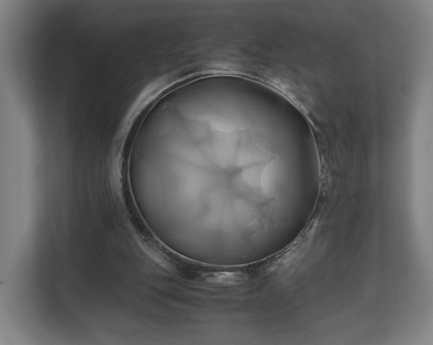 X0000110970151200906261416