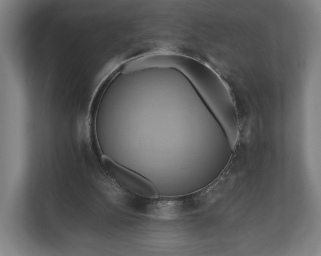 X0000110970152200906261416