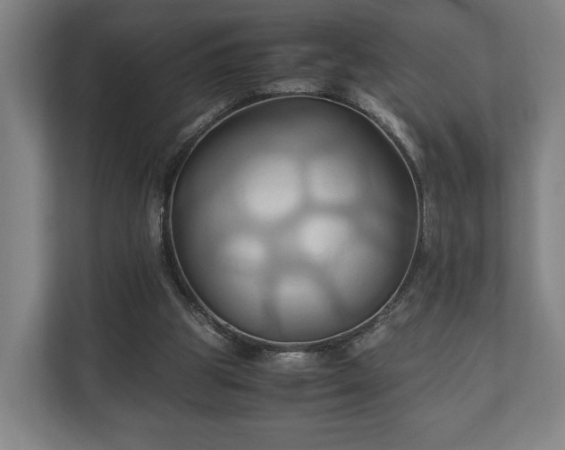 X0000110970153200906261416