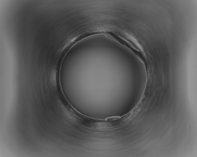 X0000110970154200906261416