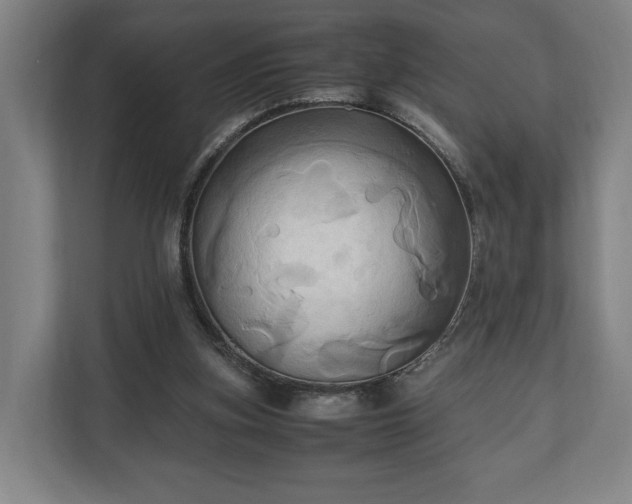 X0000110970155200906261416