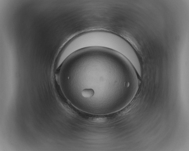 X0000110970156200906261416