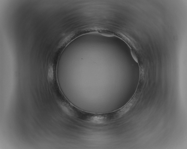 X0000110970158200906261416