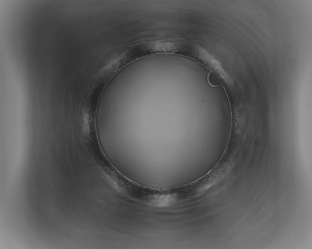 X0000110970161200906261416