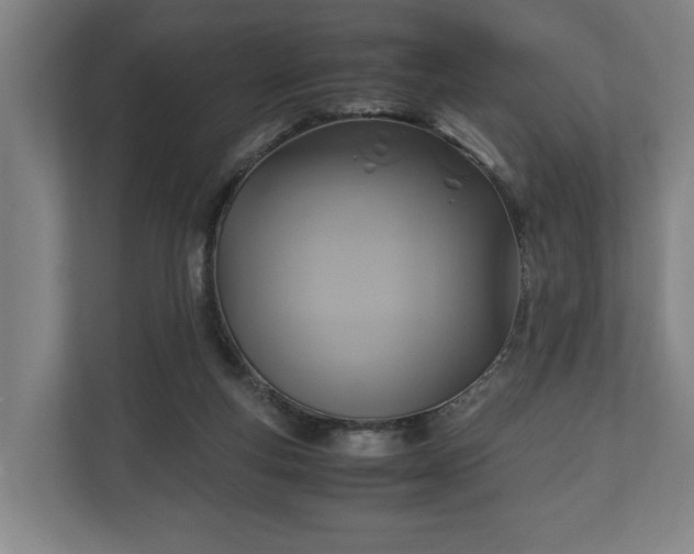 X0000110970163200906261416