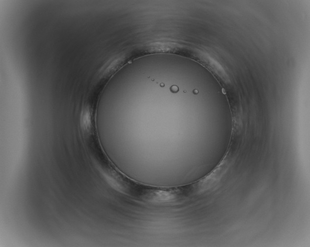 X0000110970166200906261416