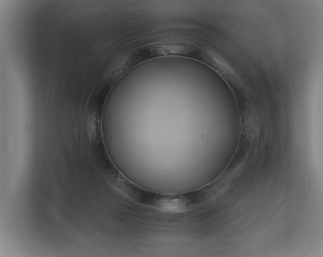 X0000110970169200906261416