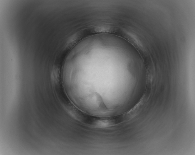 X0000110970171200906261416