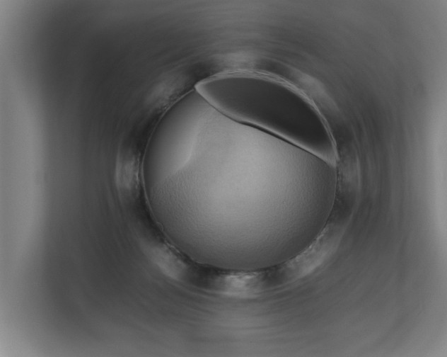 X0000110970172200906261416