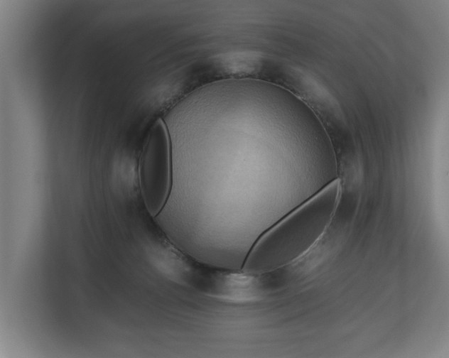 X0000110970176200906261416