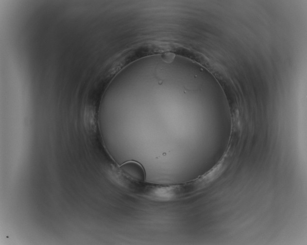 X0000110970178200906261416