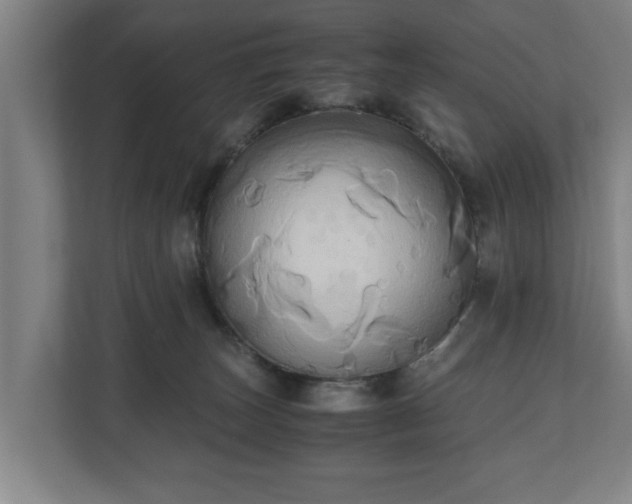 X0000110970179200906261416