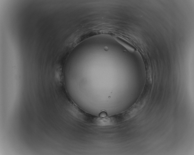 X0000110970181200906261416