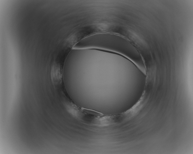 X0000110970186200906261416