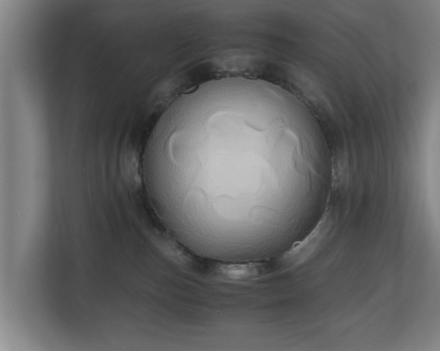 X0000110970187200906261416