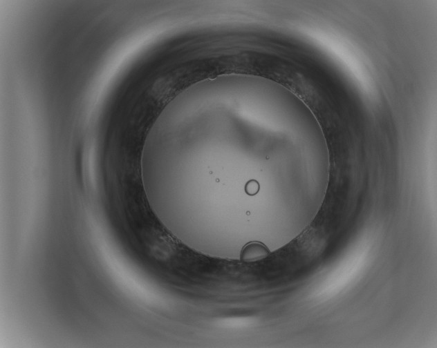 X0000110970189200906261416