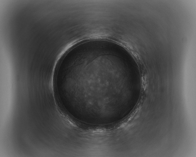 X0000110970196200906261416