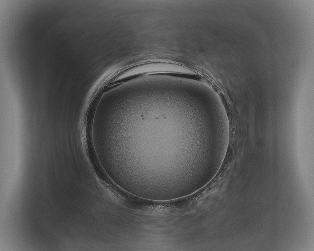 X0000110970197200906261416