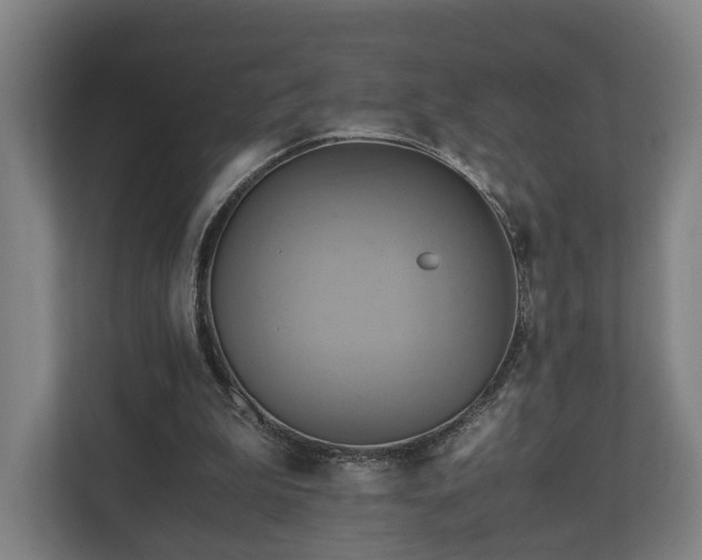 X0000110970199200906261416