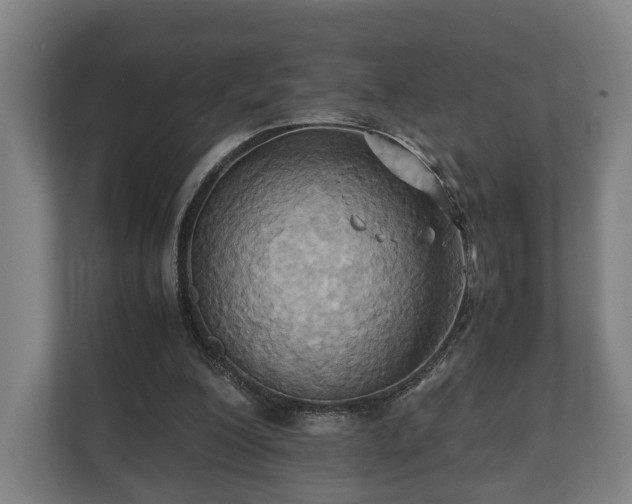 X0000110970200200906261416