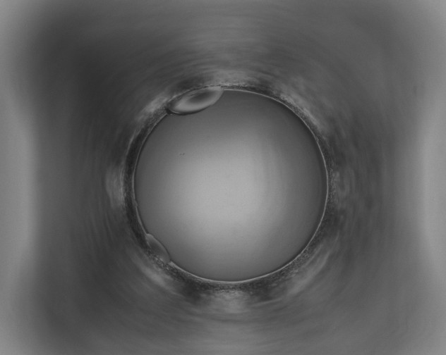 X0000110970203200906261416