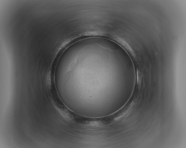 X0000110970204200906261416