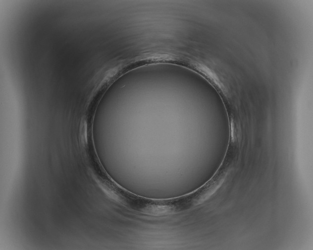 X0000110970205200906261416