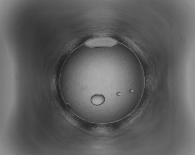 X0000110970209200906261416