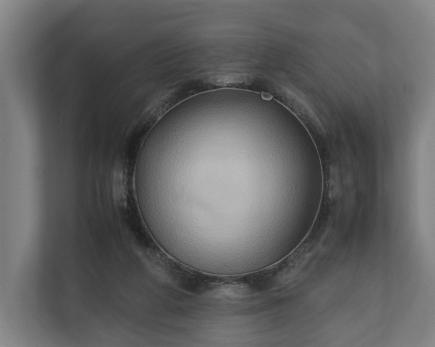 X0000110970210200906261416