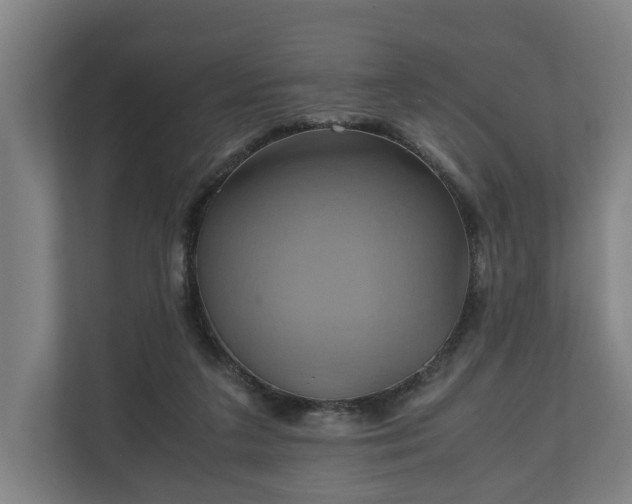 X0000110970211200906261416