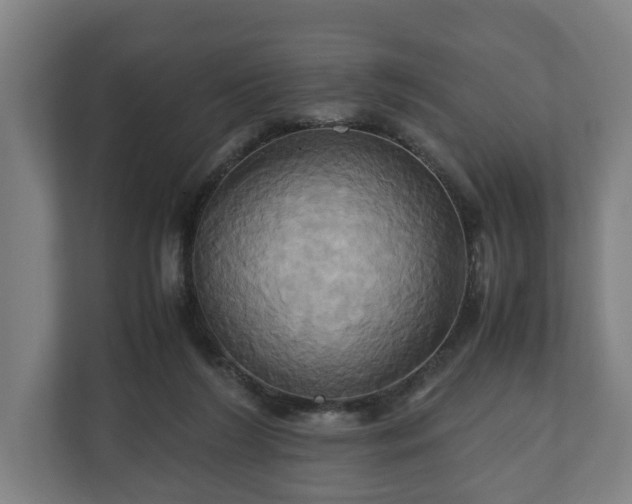 X0000110970212200906261416