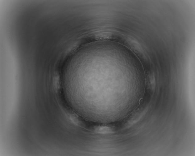 X0000110970224200906261415