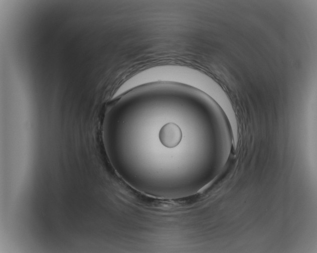 X0000110970229200906261415