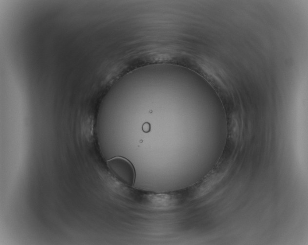 X0000110970230200906261415