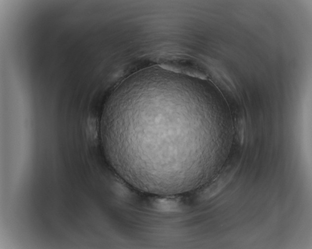 X0000110970232200906261415