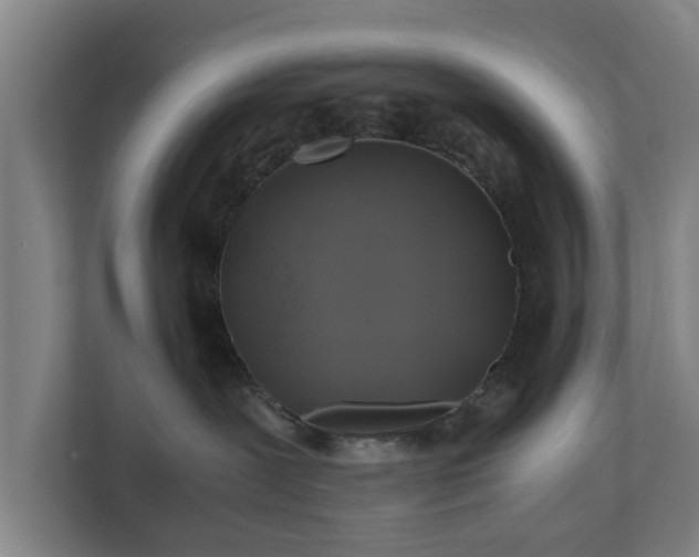 X0000110970239200906261415