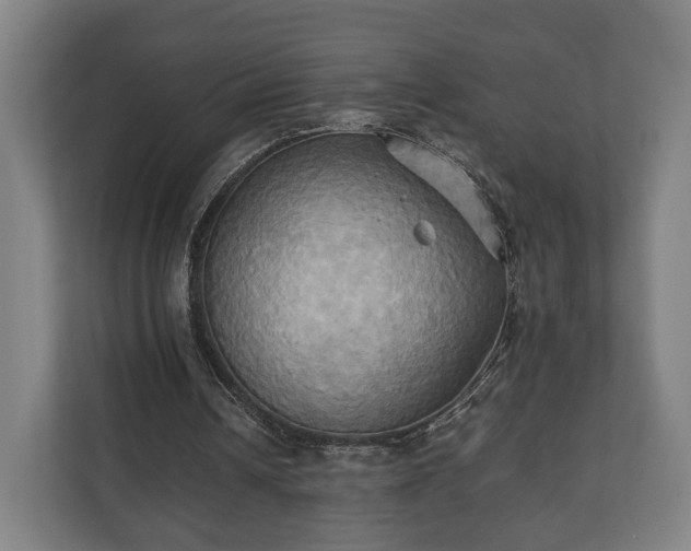 X0000110970242200906261415