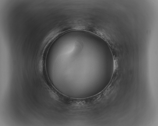 X0000110970243200906261415