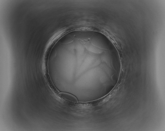 X0000110970245200906261415