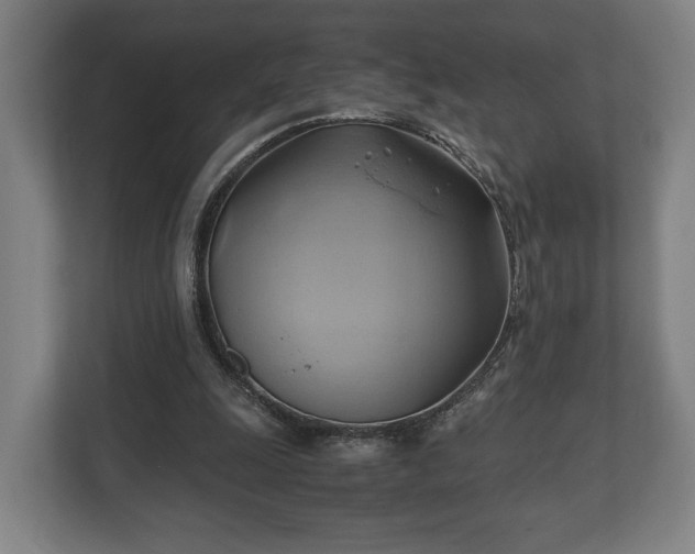 X0000110970247200906261415