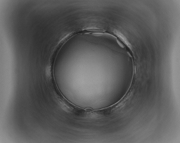 X0000110970249200906261415